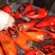 Баба ми направо уби рибата с този трик. Ето как си бели чушките без грам да се нацапа, направо се смаях (Видео)