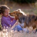 Как да помогнем на детето си, ако се страхува от животните