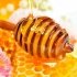 Какви са лечебните свойства на различните видове мед