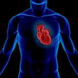 Какво представлява сърдечната невроза и как да се справим?