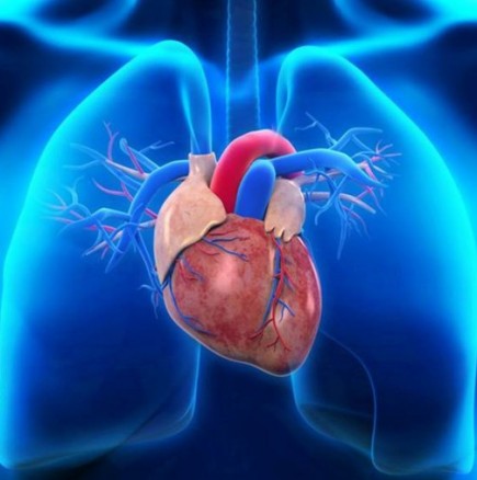 Кои са първите симптоми на инфаркт