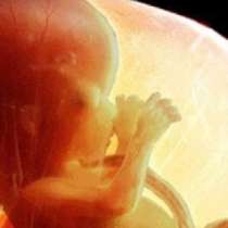 Какво не знаем за нероденото си дете