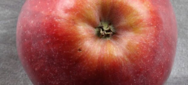 5 причини да ядем ябълки