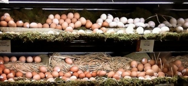 6 причини, за да се храним с яйца
