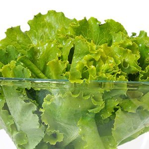 Как да познаем зеленчуците в които има нитрати