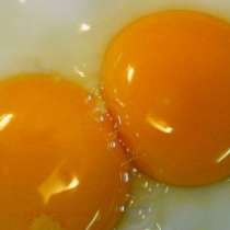 Яйцата помагат да свалим килограми