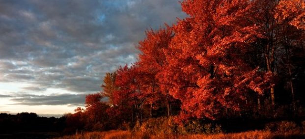 Уникални есенни дестинации