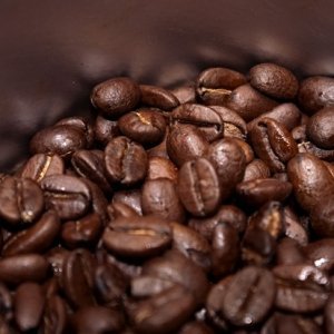 Как да изгоним мравките с кафето от дома си