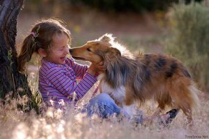 Как да запознаем детето с животните