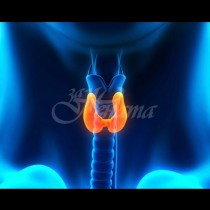 Лечение на щитовидната жлеза с 5 специални упражнения