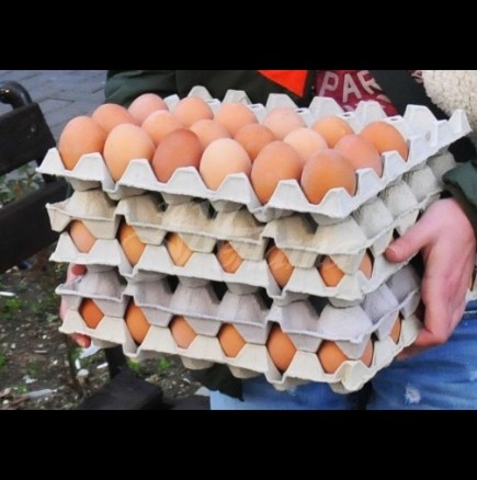 Опасност от птичи грип-Ето кои партиди български яйца изтеглят от пазара!