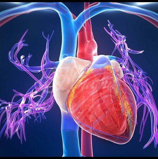 8 симптома, които алармират, че сърцето ви не работи правилно