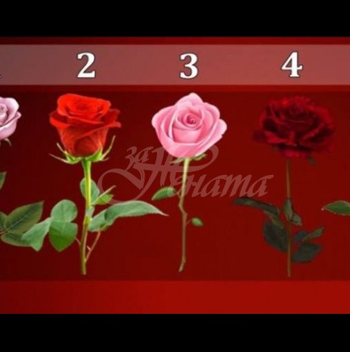 Розата, която изберете ще предскаже близкото ви бъдеще! 