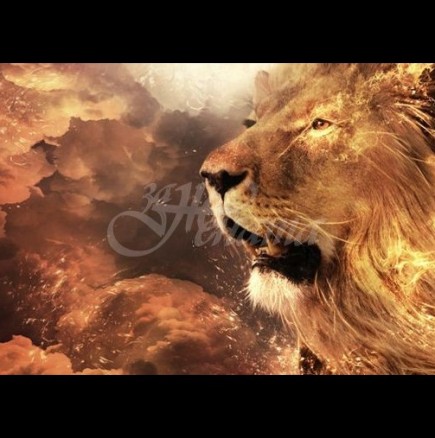 Тези 3 зодии не могат да се примирят, когато нещата не стават както те искат