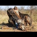 Жена уби жираф и предизвика лавина от отрицателни коментари от цял свят