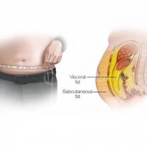 С какво е толкова опасна мазнината около стомаха и как да се отървем от нея