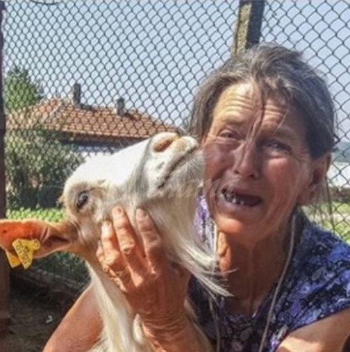 Историята на баба Дора, която обиколи социалните мрежи и разплака цяла България