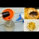 Как да се отървете от насекомите в кухнята завинаги: комарите, хлебарките и мравките никога повече няма да се върнат