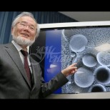 Японски професор спечели Нобелова награда, заради диетата, която предложи