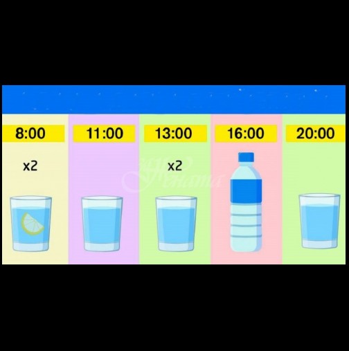 График за отслабване: яжте каквото искате и пийте вода до час. Резултатът е минус 15% мазнини