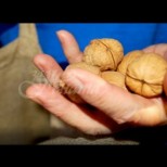 92-годишен дядо от Велико Търново от 40 години носи орех в джоба си-Ето как се е променил животът му!