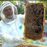 Опитен пчелар с 23 години стаж гарантира начин за познаване на истинския мед