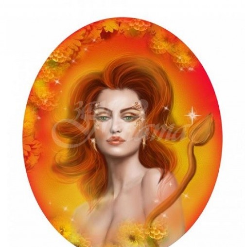 Дамски хороскоп за ноември-Жената Близнаци-Няма да ѝ е скучно, Жената Стрелец-Уверени във възможностите си.
