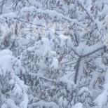Опасен студ-минус 15 градуса за половин България