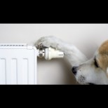 За кое отопление ще платите най- малки сметки- полезна информация за всяко домакинство