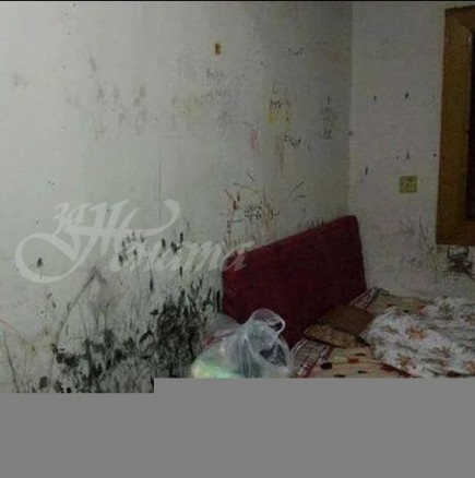 Студентка ремонтира мизерното си общежитие и го превърна в приказна стая (снимки)