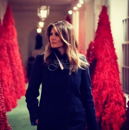 Коледната украса в Белия дом, която направи Мелания събра всички погледи (снимки)