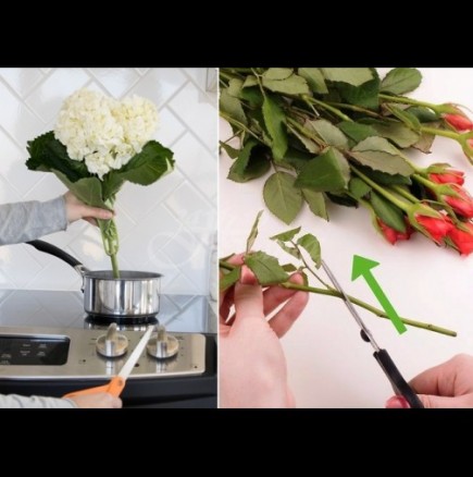 Защо да варим стъблата на букета и още 8 невероятни трика от кухнята на опитните цветари: