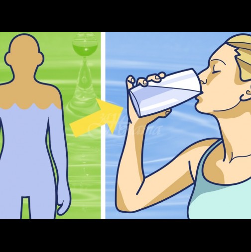 Точни пропорции по колко милилитра вода на килограм тегло са ви нужни на ден за да сте здрави