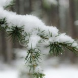 Актуална прогноза за времето-Ще вали ли сняг на Коледа 