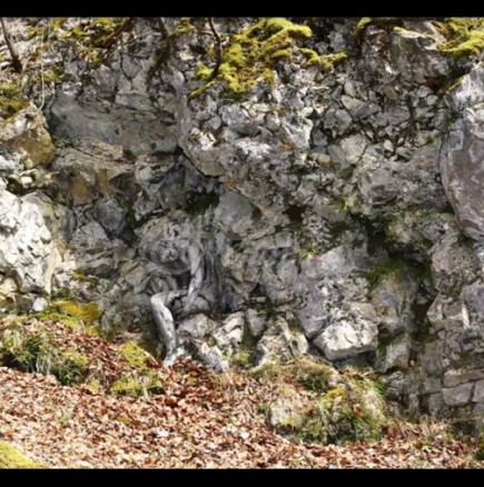 Проверете зрението си - Виждате ли девойката на снимката? 