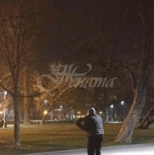 Снимката на възрастен мъж направена в столичен парк къса сърцето на всички