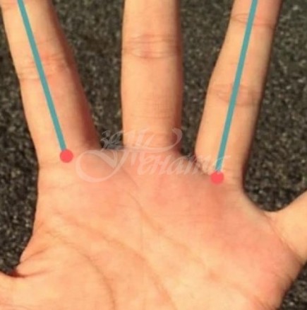 Дължината на показалеца и безименния пръст разкриват много за личността ви