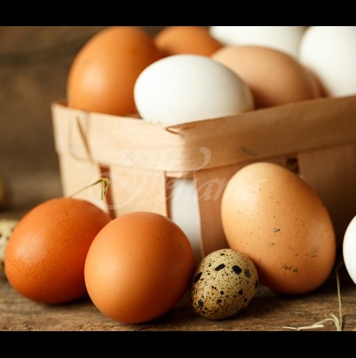 Ново откритие-Яйцата могат да лекуват рак и артрит