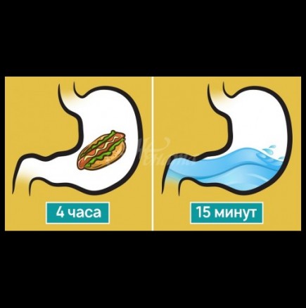 Ето какво се случва със стомаха ви, ако пиете храна по време на хранене
