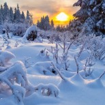 Ако сте Телец, Дева и Козирог, в петък добри резултати с пари или финанси, Рак, Скорпион или Риби нещо хубаво