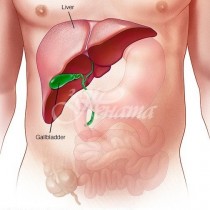 8 неочаквани симптома на проблеми с черния дроб, заради които трябва на всяка цена да отидата на лекар 