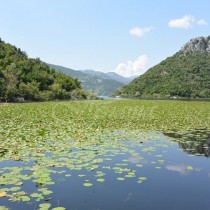 Четирима души се удавиха край Вранина-Бременна жена и съпругът ѝ,12-годишната им дъщеря и мъж, който ги спасявал