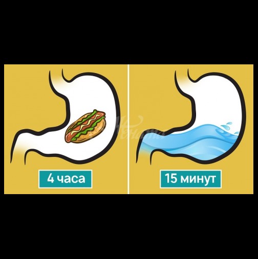 Ето какво се случва със стомаха ви, ако пиете храна по време на хранене