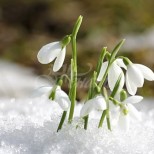 Дежурният синоптик обяви прогнозата за времето през март-Зима и пролет ще се сменят през ден