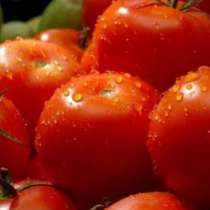 Пуснаха опасни домати в продажба