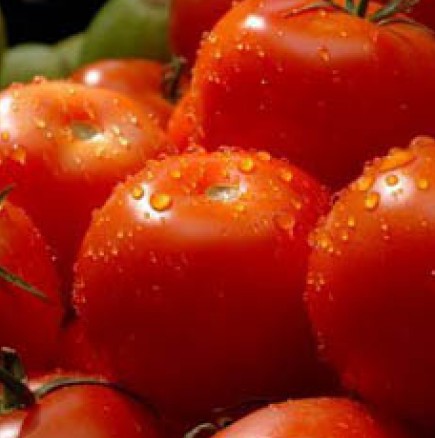 Пуснаха опасни домати в продажба