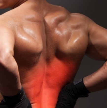 Болката в гърба е доказателство, че хората не произхождат от Земята?