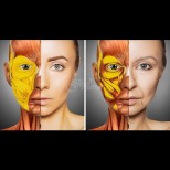 Как се променя тялото ни след 30 години и защо лицето остарява(снимки)