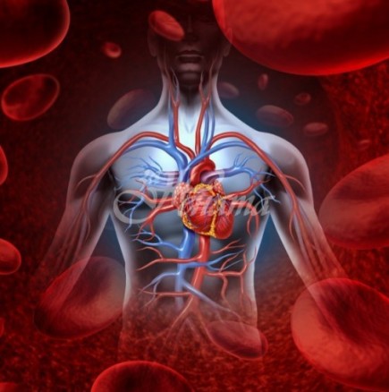 Кардиолог обясни митовете за здраво сърце и предпазване от тромби