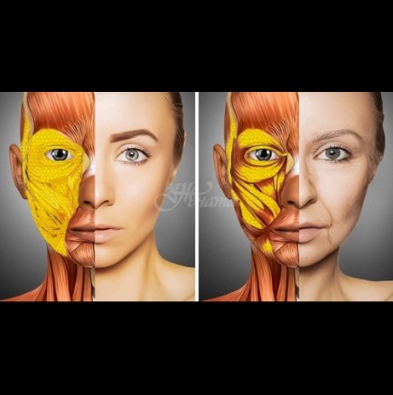 Как се променя тялото ни след 30 години и защо лицето остарява(снимки)